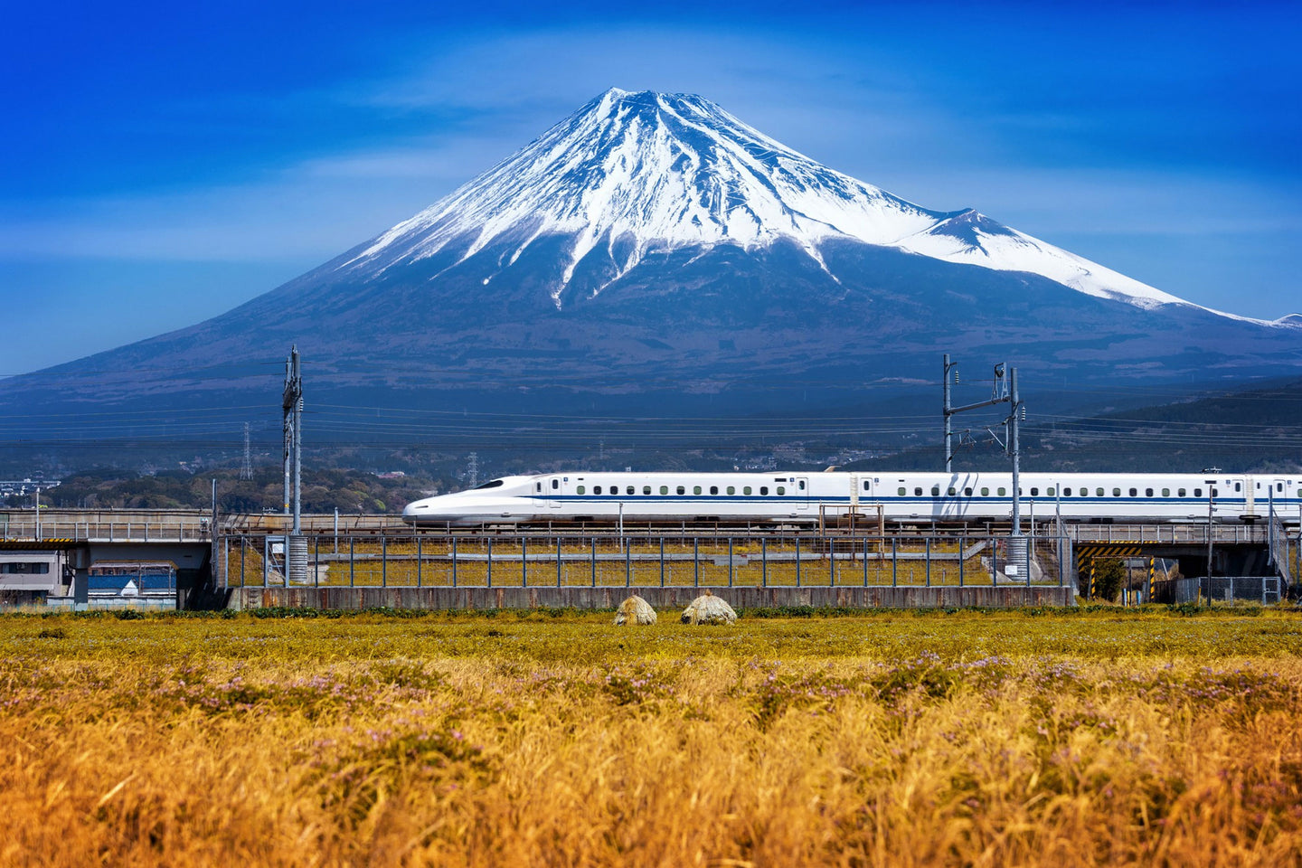 How to Survive (and Even Enjoy) Long Train and Bus Journeys